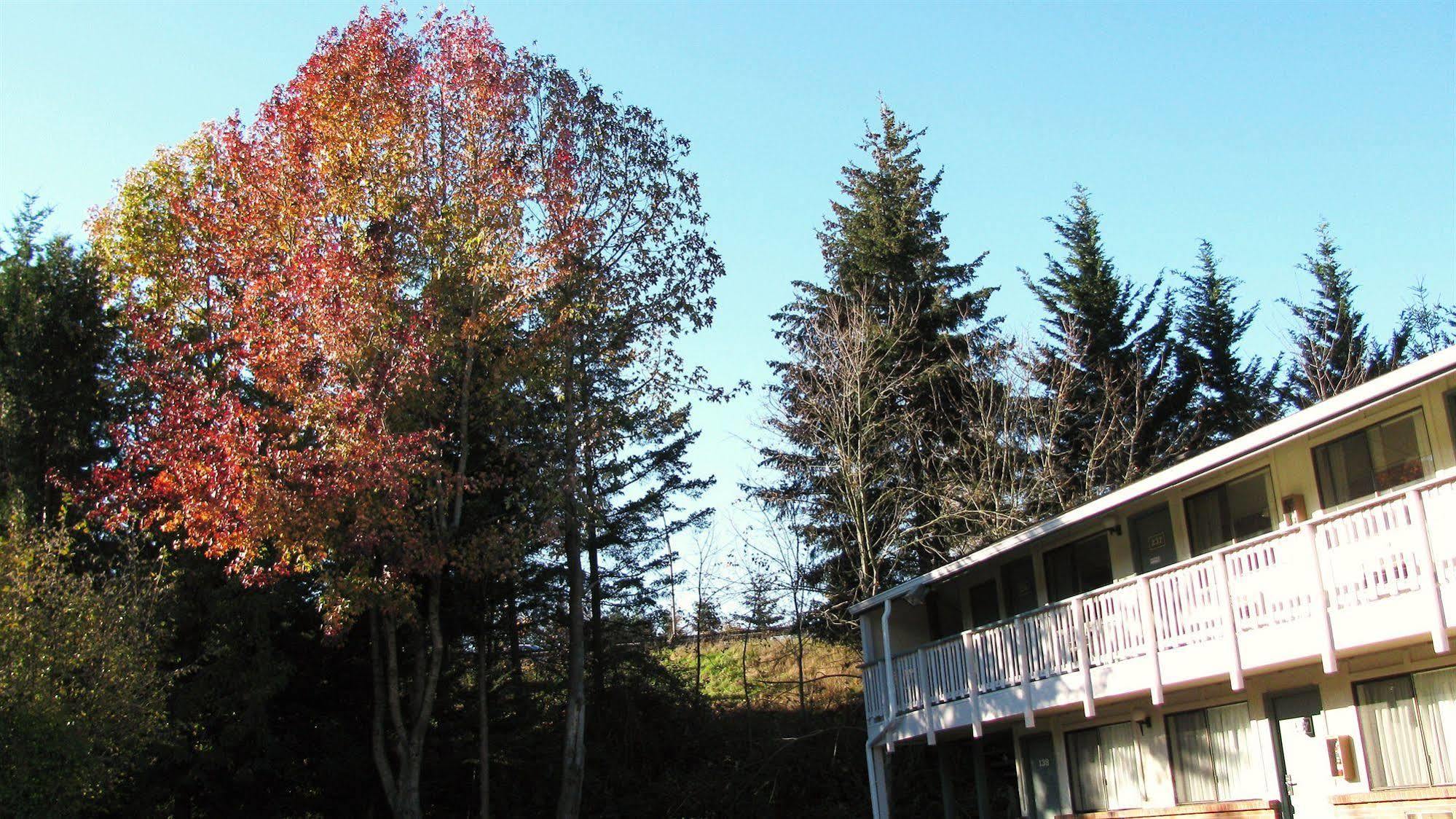Motel Puyallup Esterno foto